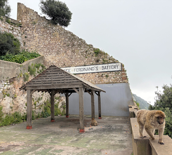 Auf dem "Affenfelsen"